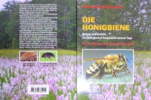 Buch
