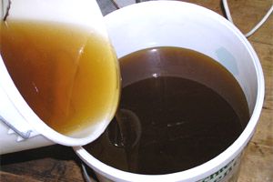 Honig umfüllen
